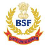 BSF  logo