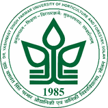 YSP University Logo