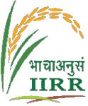 ICAR-IIRR Recruitment 2021