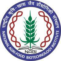 NABI Logo